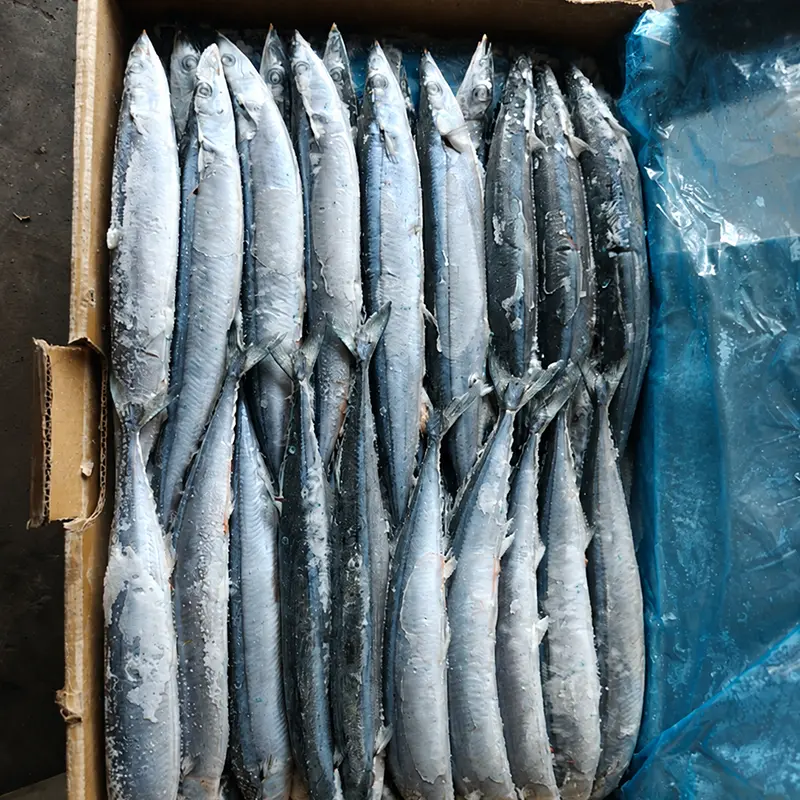 Wat maakt Pacific Saury een praktische keuze voor kopers van zeevruchten?