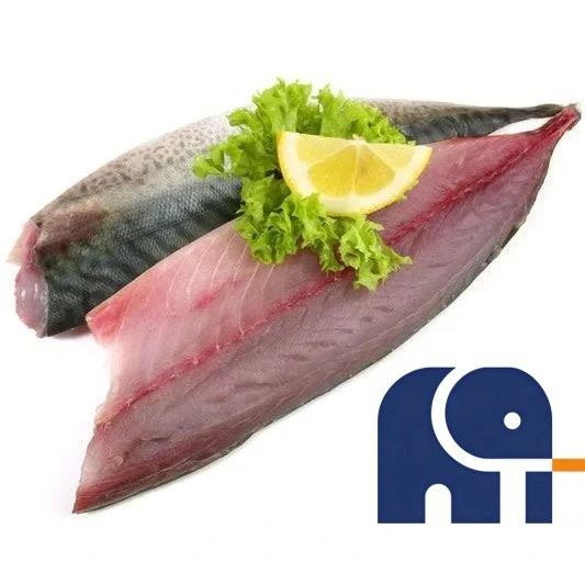 Pacifische makreelfilet zonder been