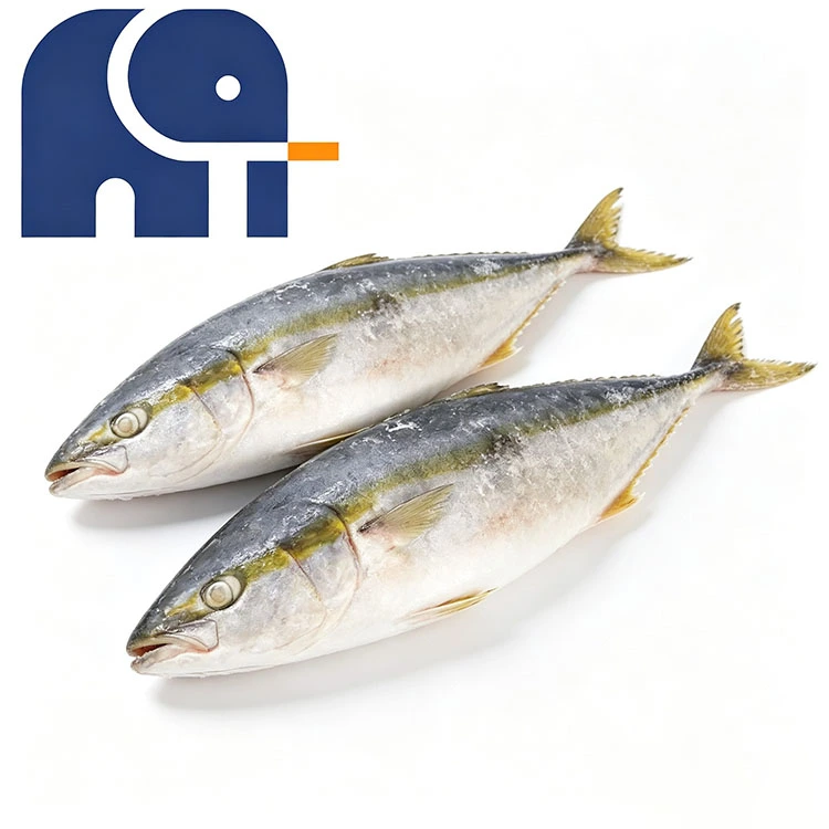 Bevroren Yellowtail Hele Ronde