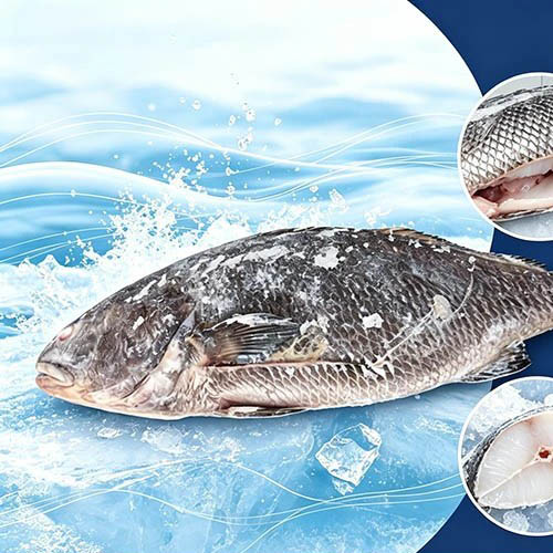 Voedingsmiddel Bevroren Bruine Croaker Gestript