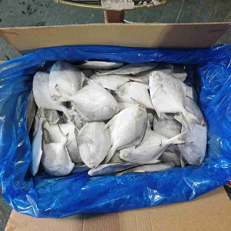 Premium kartonnen witte pompon, geheel rond