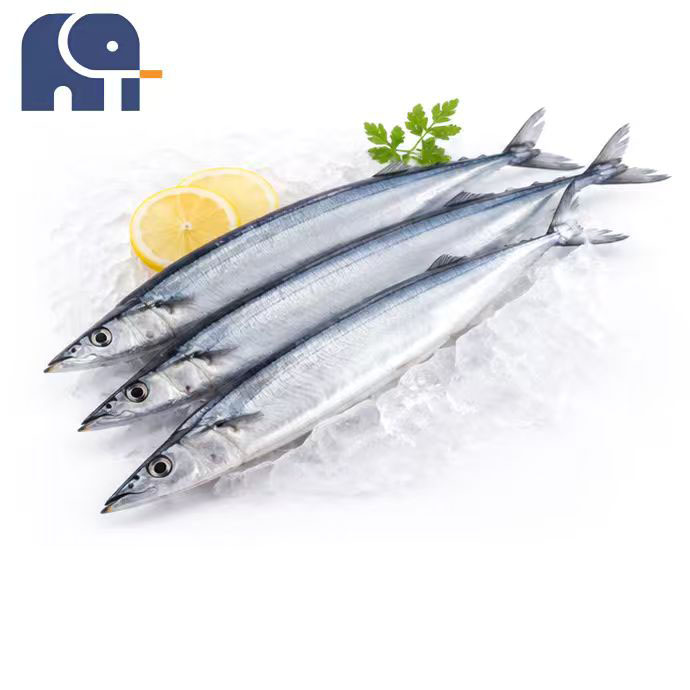 Winter bevroren Pacific Saury hele ronde